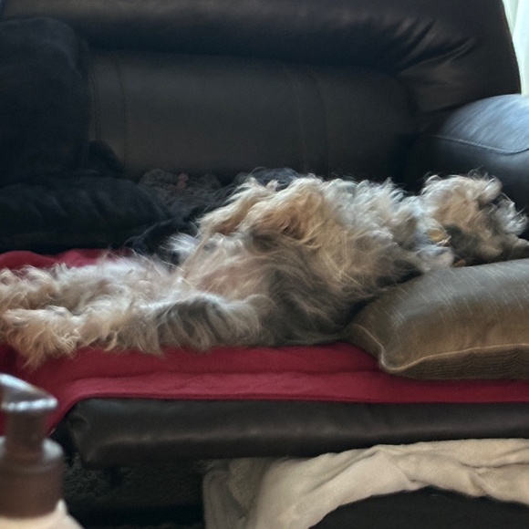 Meet your Posher, MaryJo - Picture 11 of 16